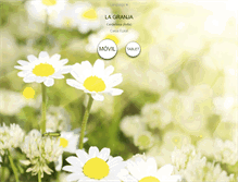 Tablet Screenshot of casarurallagranja.com